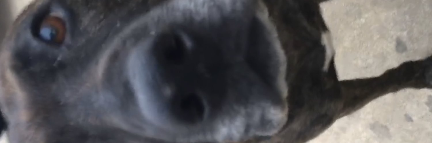 albey1388's profile banner image