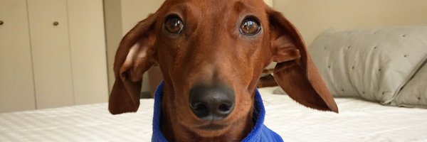 AmandaDuberman Profile Banner