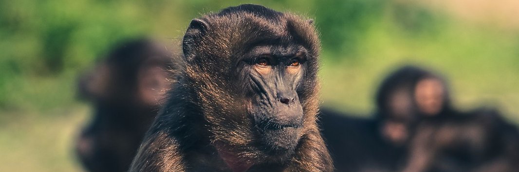BasicsWallets's profile banner image