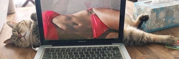 mcchimmi's profile banner image