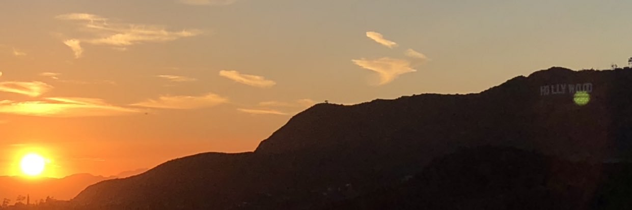 flowerrtdk's profile banner image