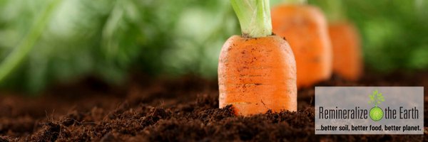 remineralize Profile Banner