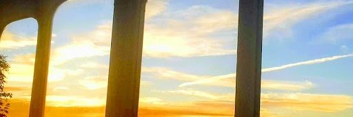 Frances-Anne Petersen banner