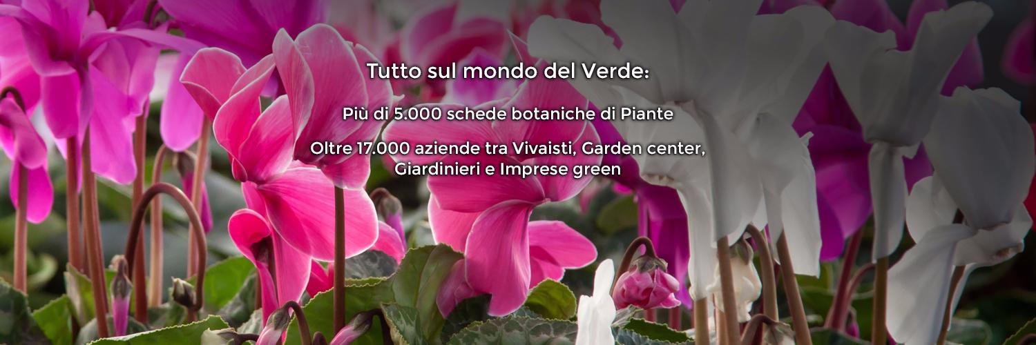 PortaledelVerde's profile banner image