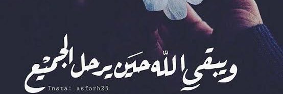 hager_mady's profile banner image