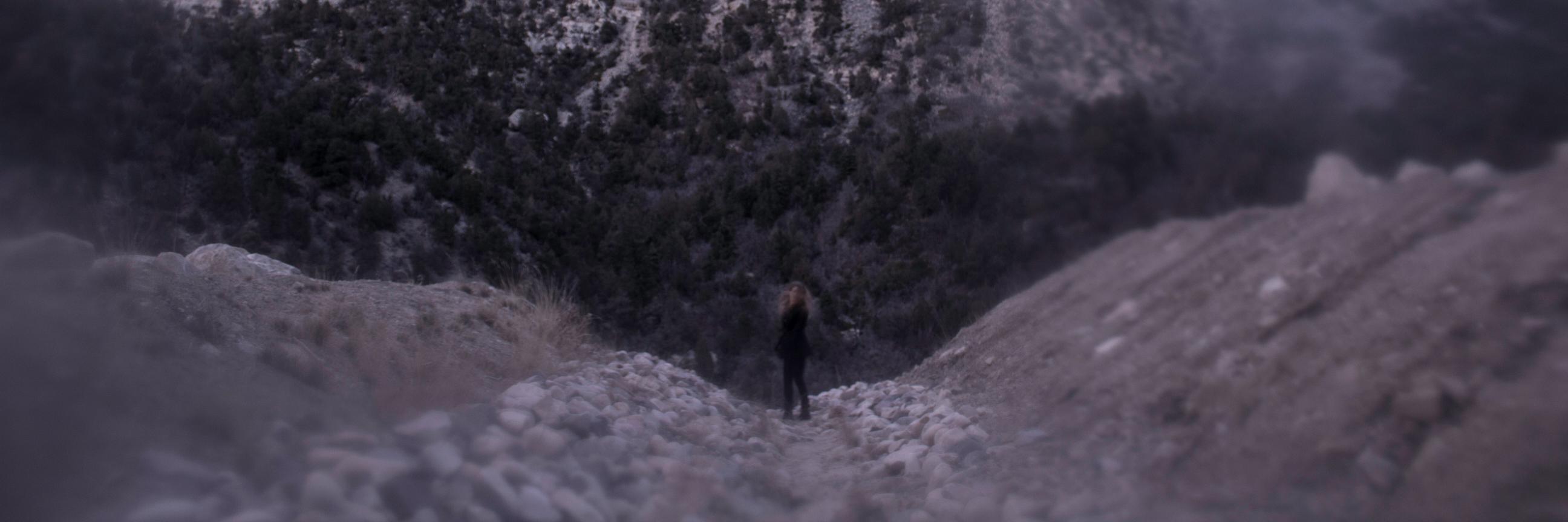TheRhineLady's profile banner image