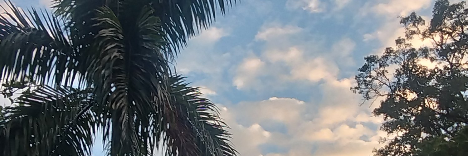 Omar____C's profile banner image