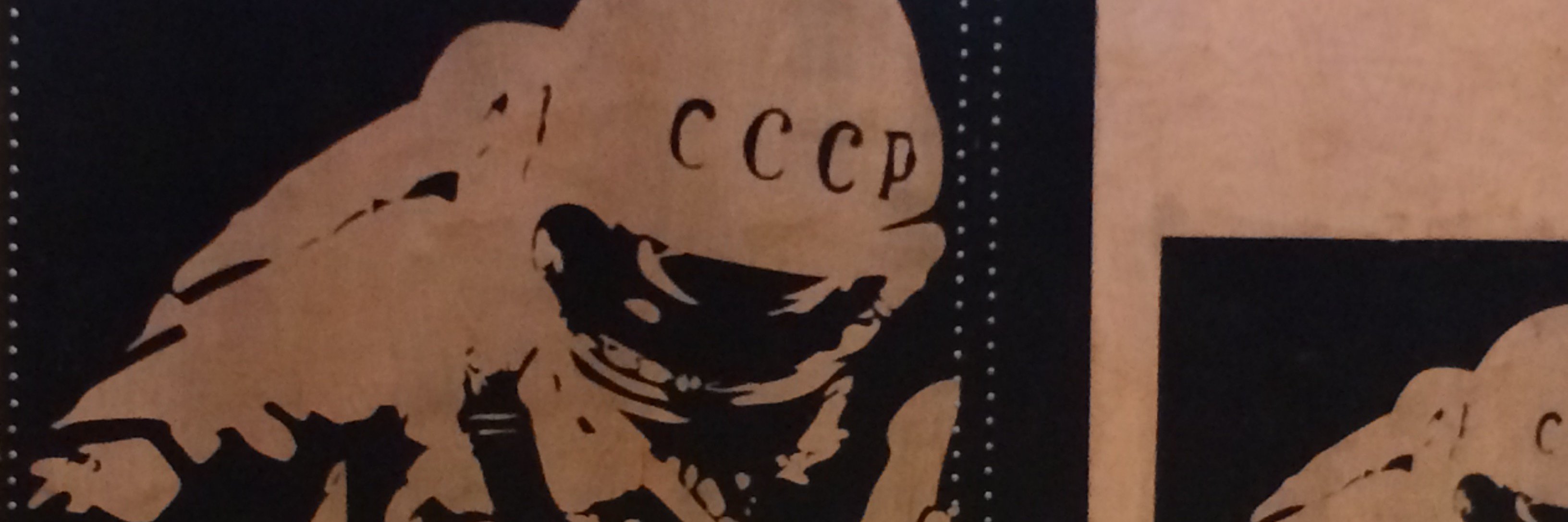 Ev_I_ke's profile banner image