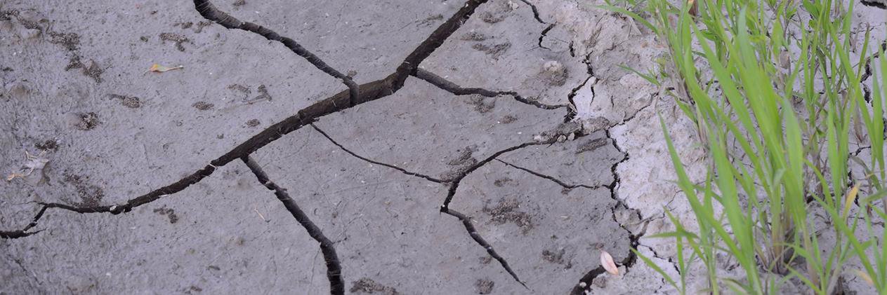 HistDroughtsUK's profile banner image