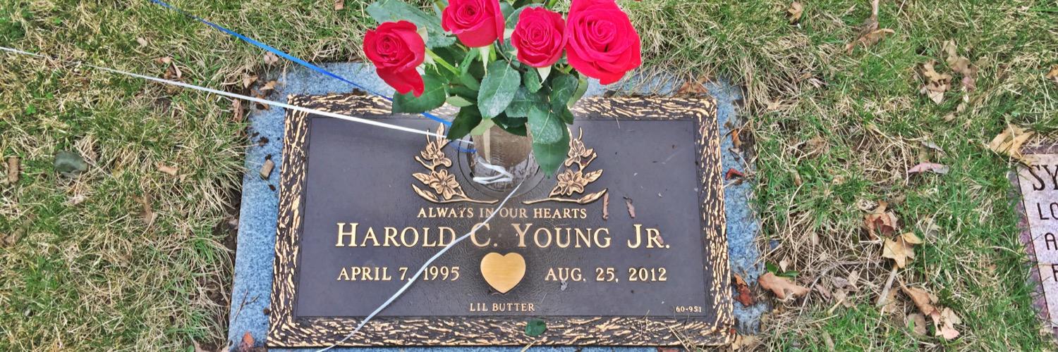 The Shovel Himself banner