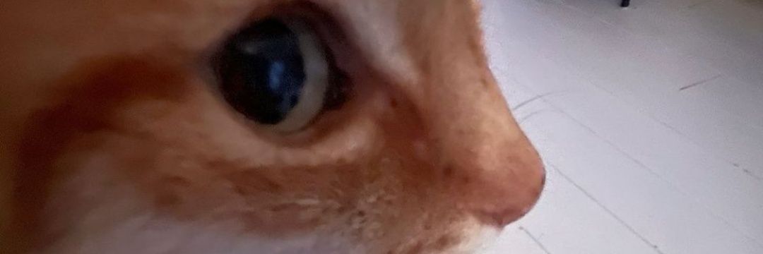 marcmuria_'s profile banner image