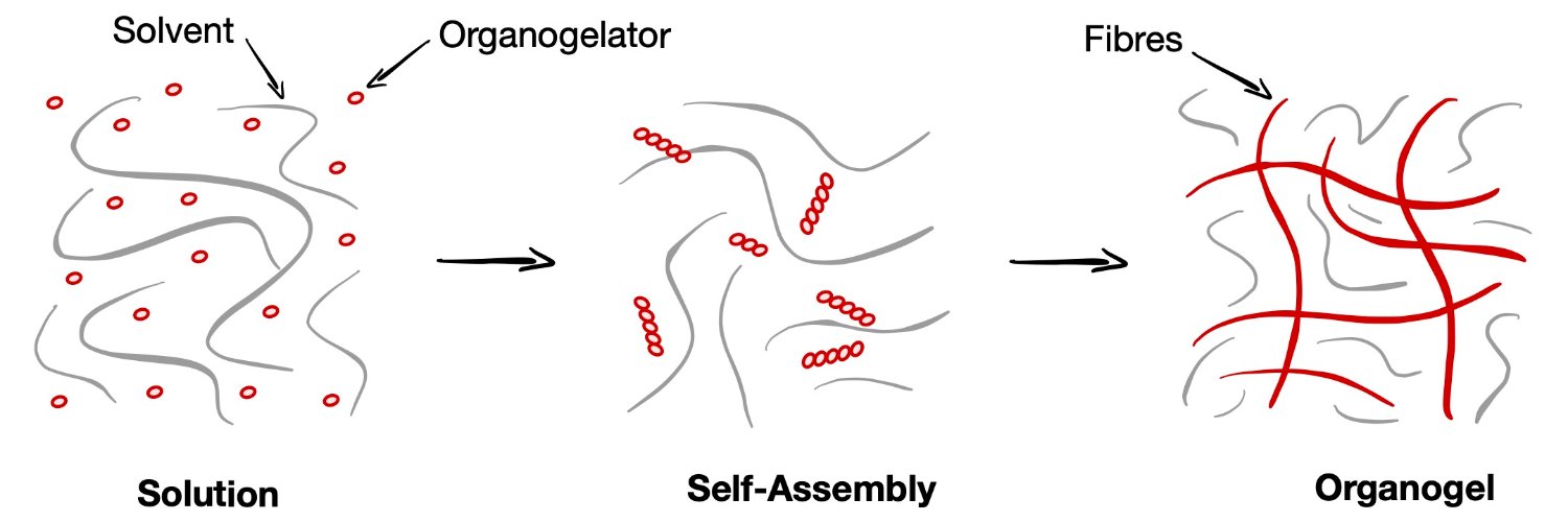 Loïc Lemiègre banner