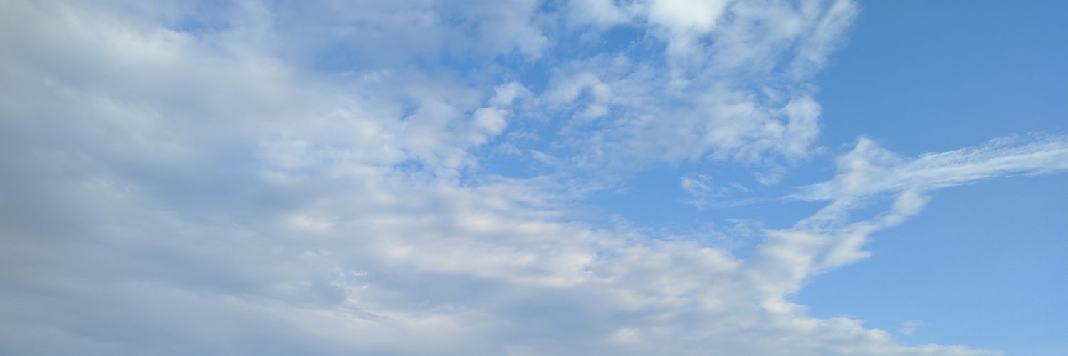 Бездельник чипизации banner