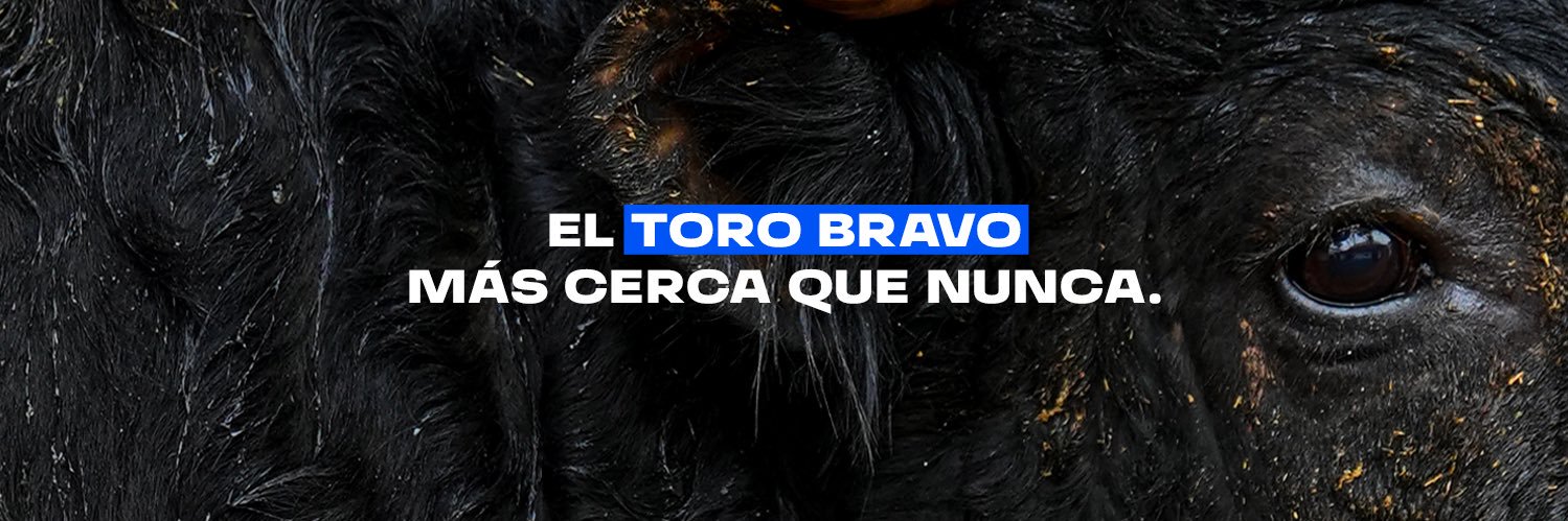 𝙏𝙤𝙧𝙞𝙨𝙩𝙖 𝙙𝙚 𝙁𝙧𝙖𝙣𝙘𝙞𝙖 banner