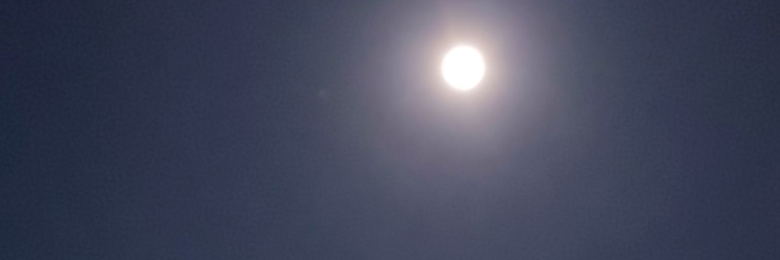 MaureenMaia's profile banner image