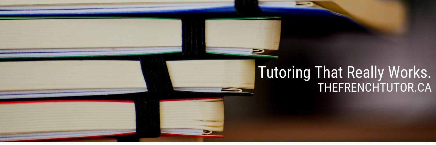 FrenchTutorGTA's profile banner image