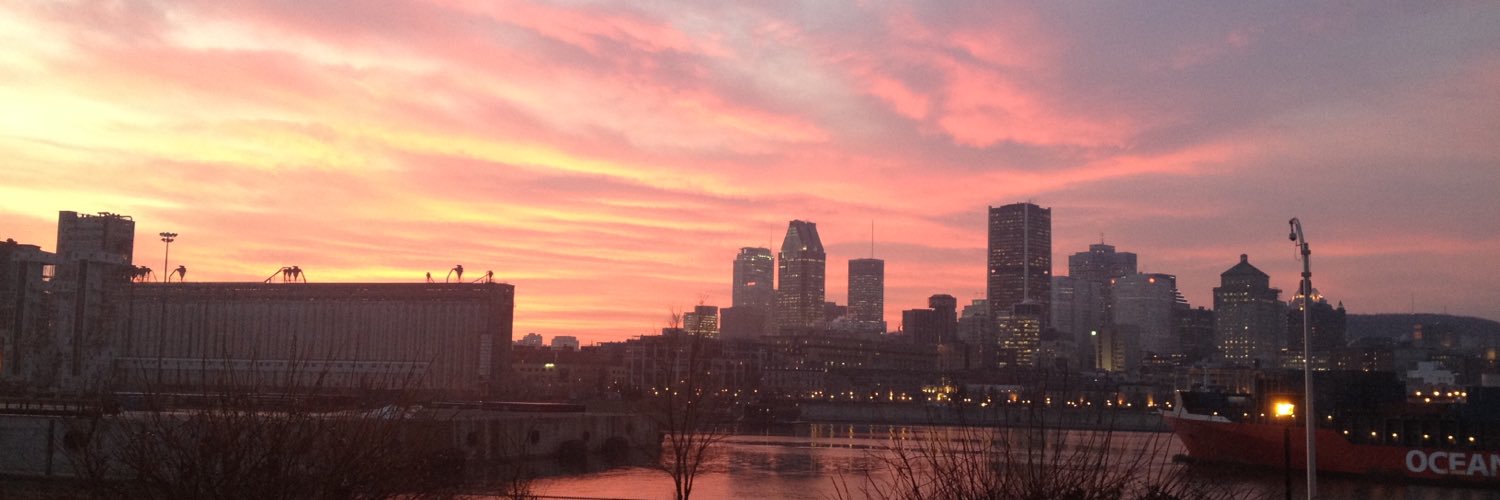 Mathieu Savary banner