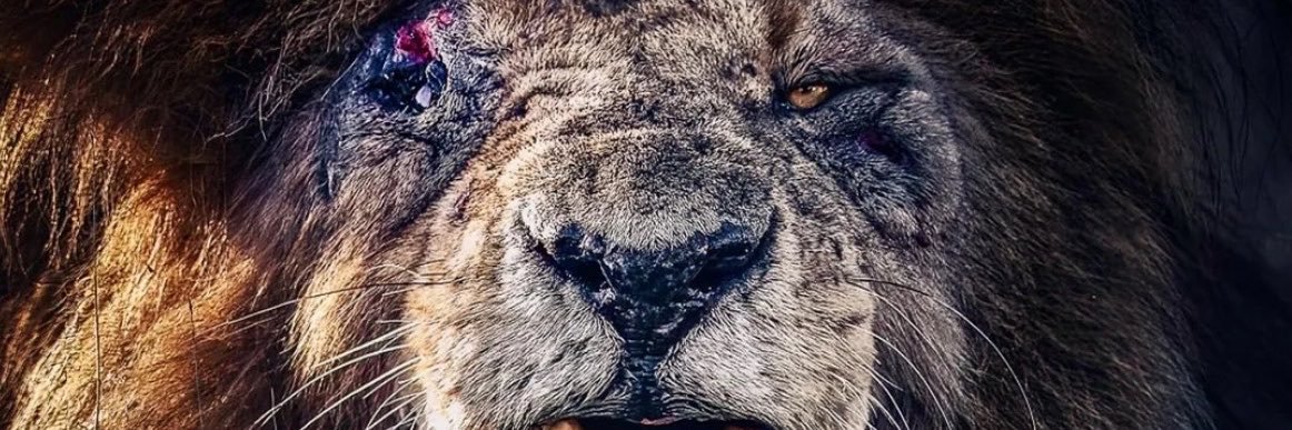 _iSaluteU's profile banner image