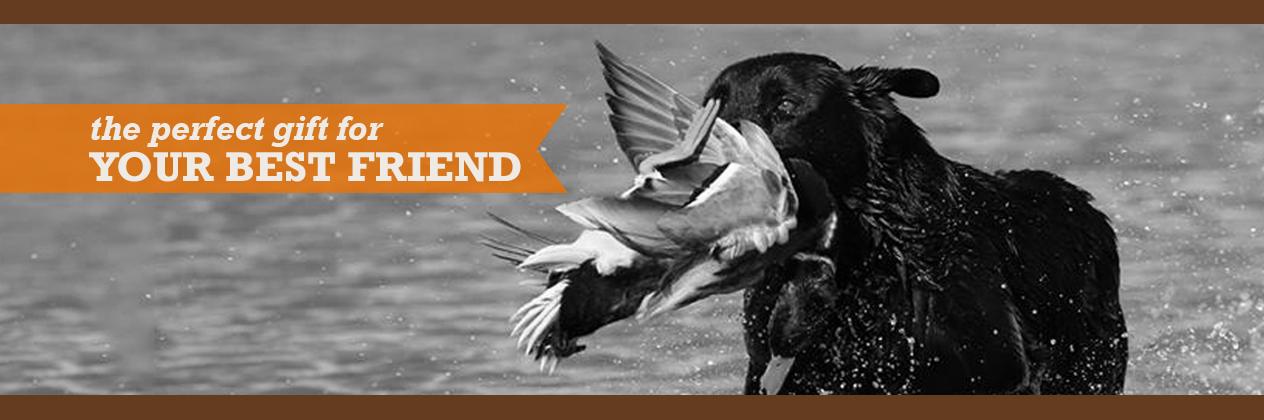 MuddyPawsPack's profile banner image