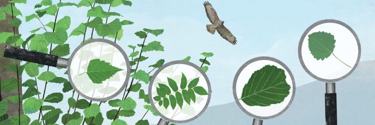 Euan Bowditch banner