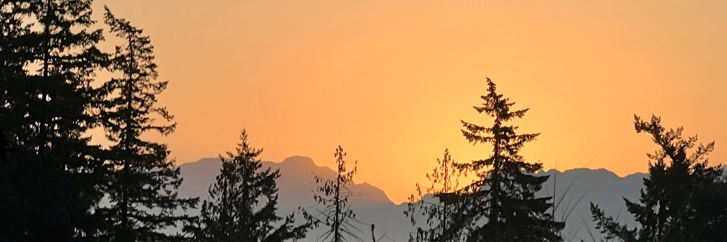 MarthaHiefield's profile banner image
