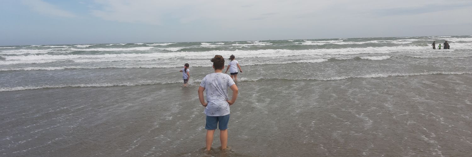 Dave Guilfoyle banner