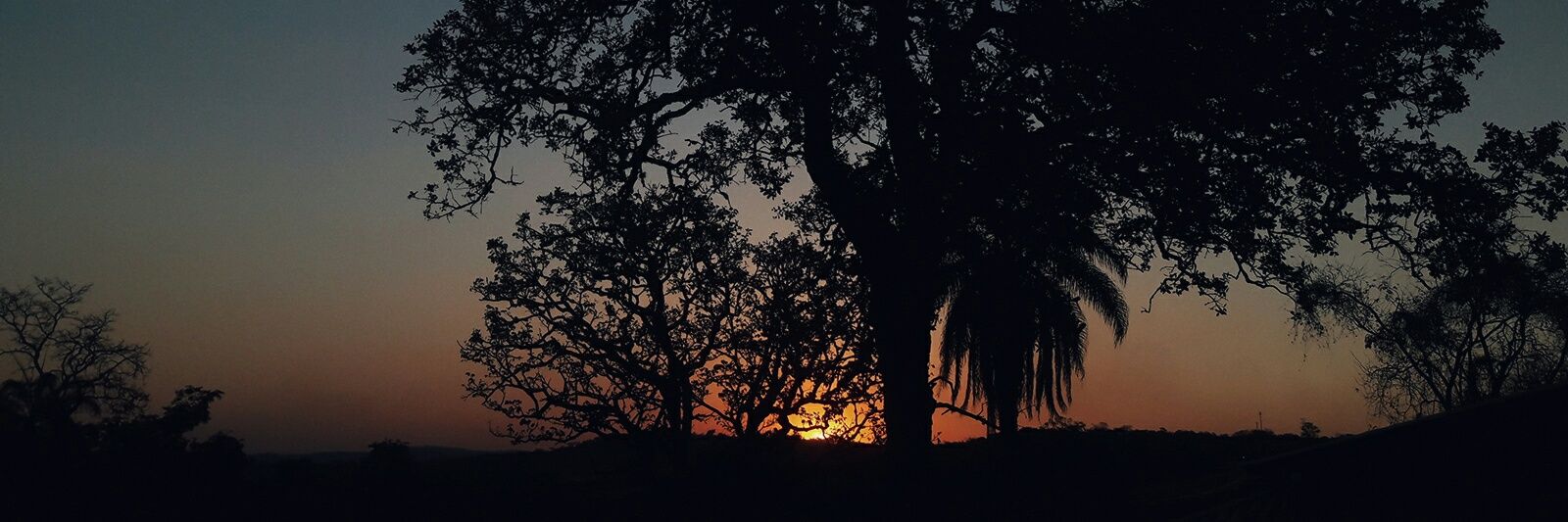 rayy_19's profile banner image