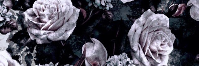 LimathWolmarans's profile banner image