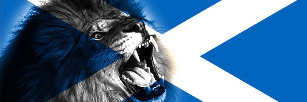 coachbeelang's profile banner image