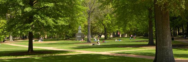 UofSCProvost Profile Banner