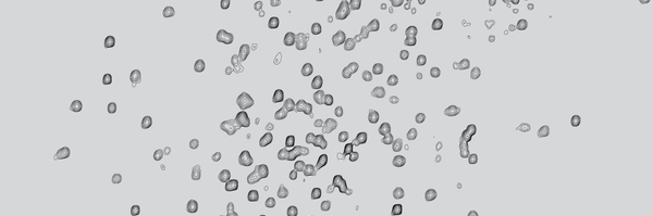 theshawlab Profile Banner
