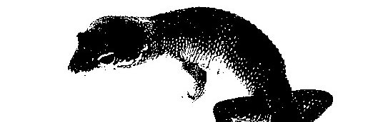 loolaaay's profile banner image