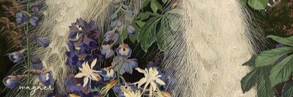 cosmegdrs's profile banner image