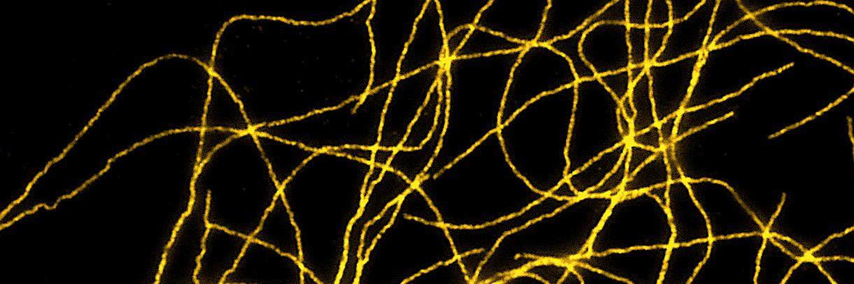 Jens Luders @LudersLab.bsky.social banner