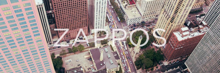 Zappos banner