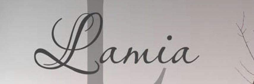 lamaalsareef's profile banner image