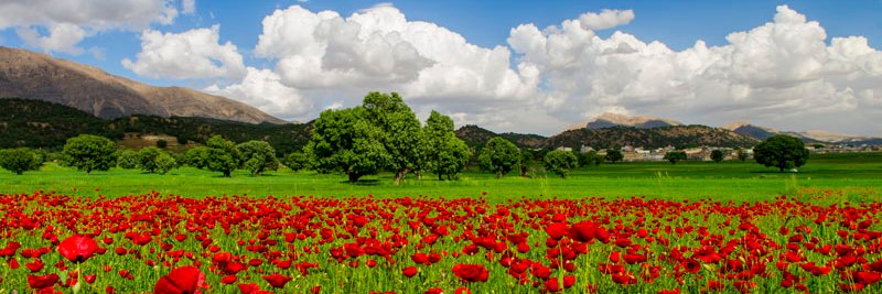 keydavoud.base.eth banner