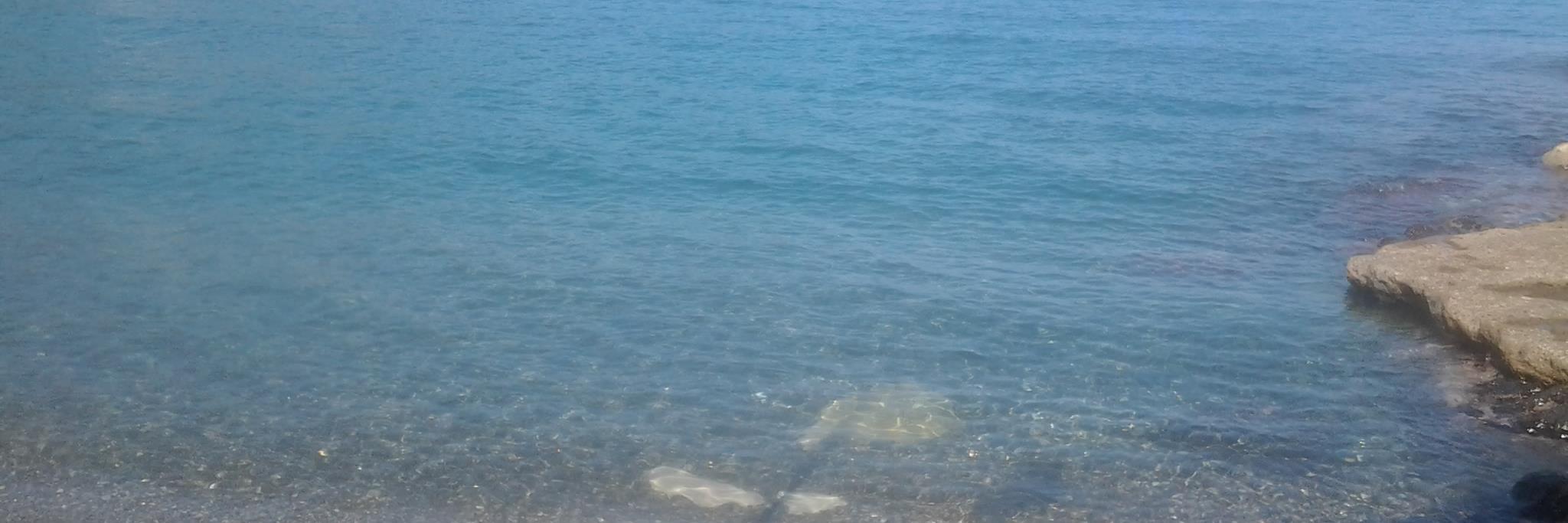 PinyaAnna's profile banner image