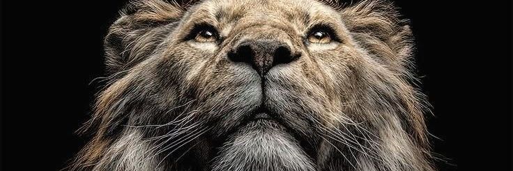 kwinkydede's profile banner image