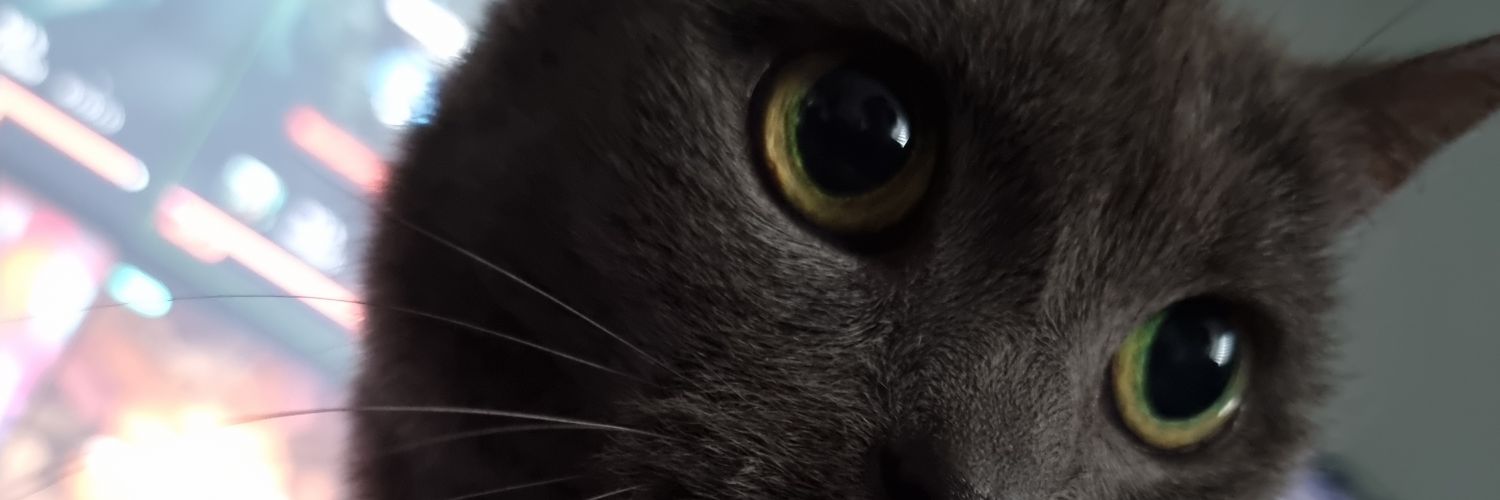Misunakoo's profile banner image