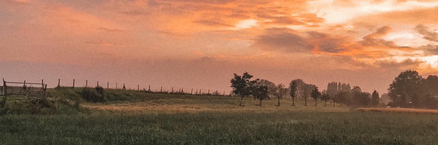 dhollanderlife's profile banner image