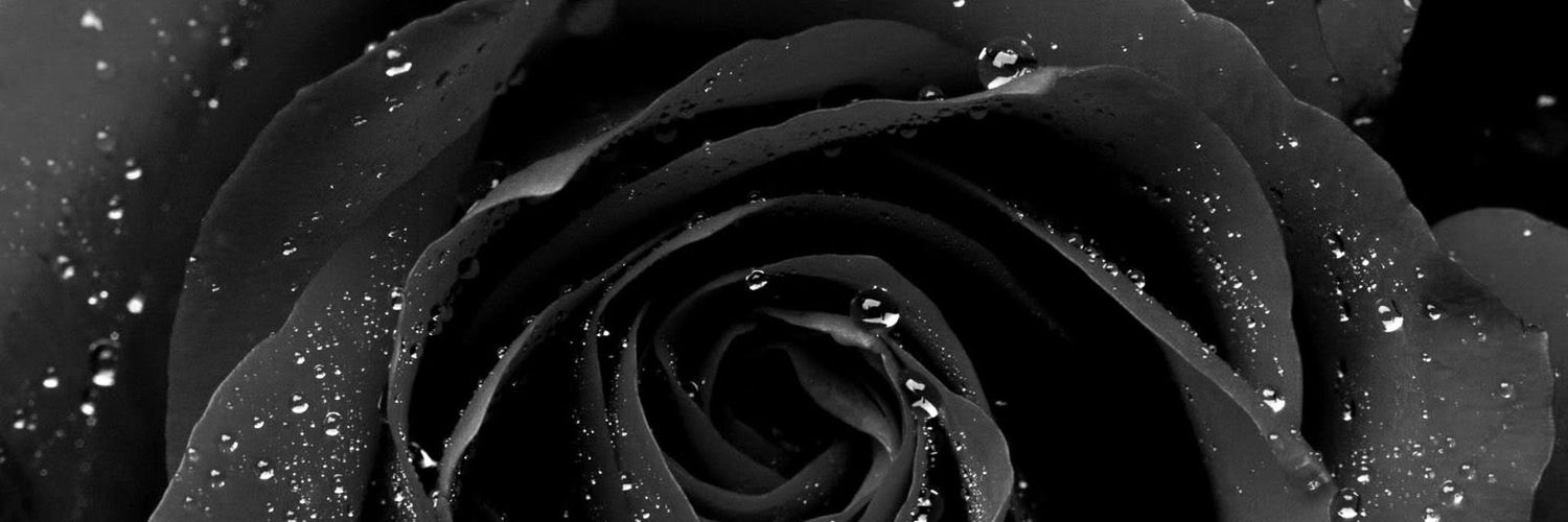 Millie_DW's profile banner image