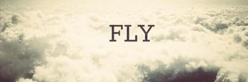 flyergiih2's profile banner image