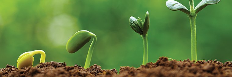 ClickeryFinance's profile banner image