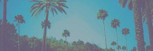 eRaPatt's profile banner image