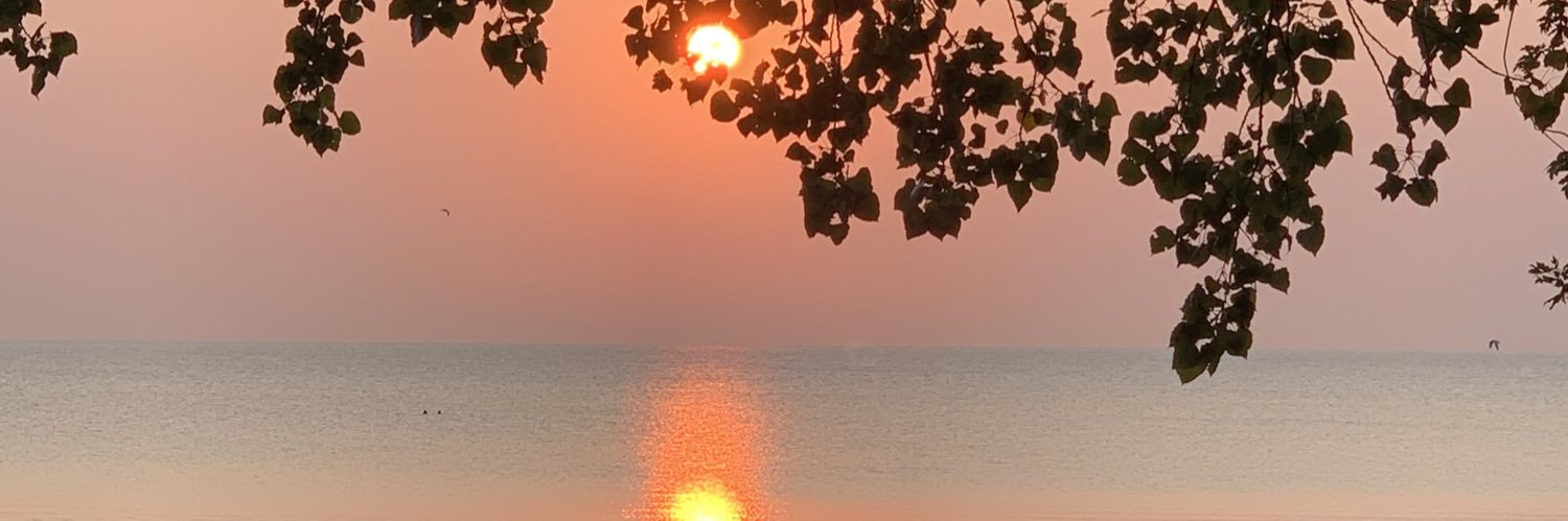 LillianSelonick's profile banner image
