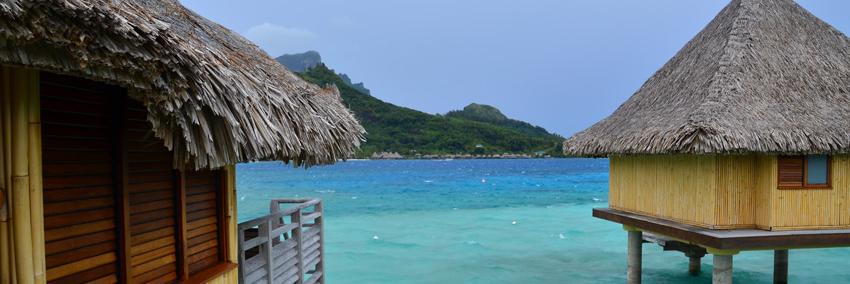 AliceTravelNJ's profile banner image
