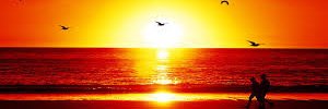 hamara_thamara's profile banner image