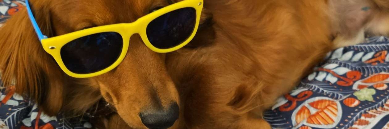 notthatdav's profile banner image