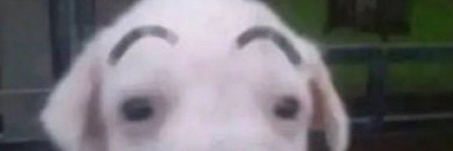 lilu banner